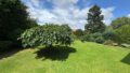 Garten II