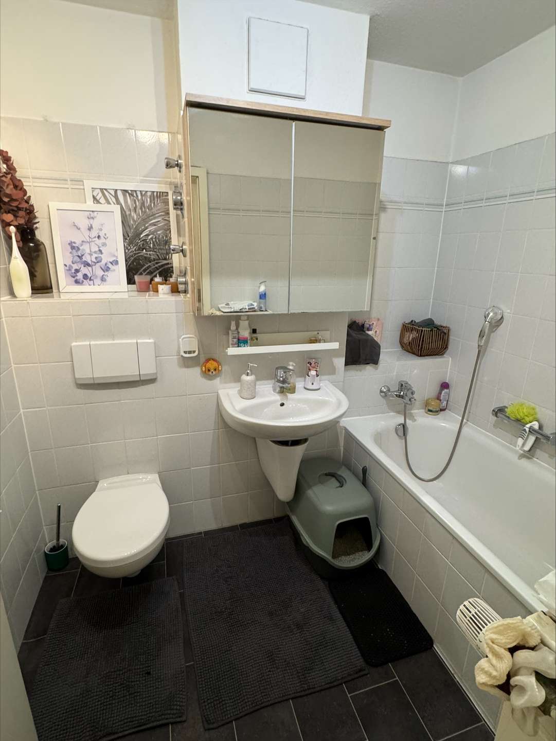 Vollbad mit Dusche und Badewanne