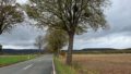 Zufahrt nach Alvesrode