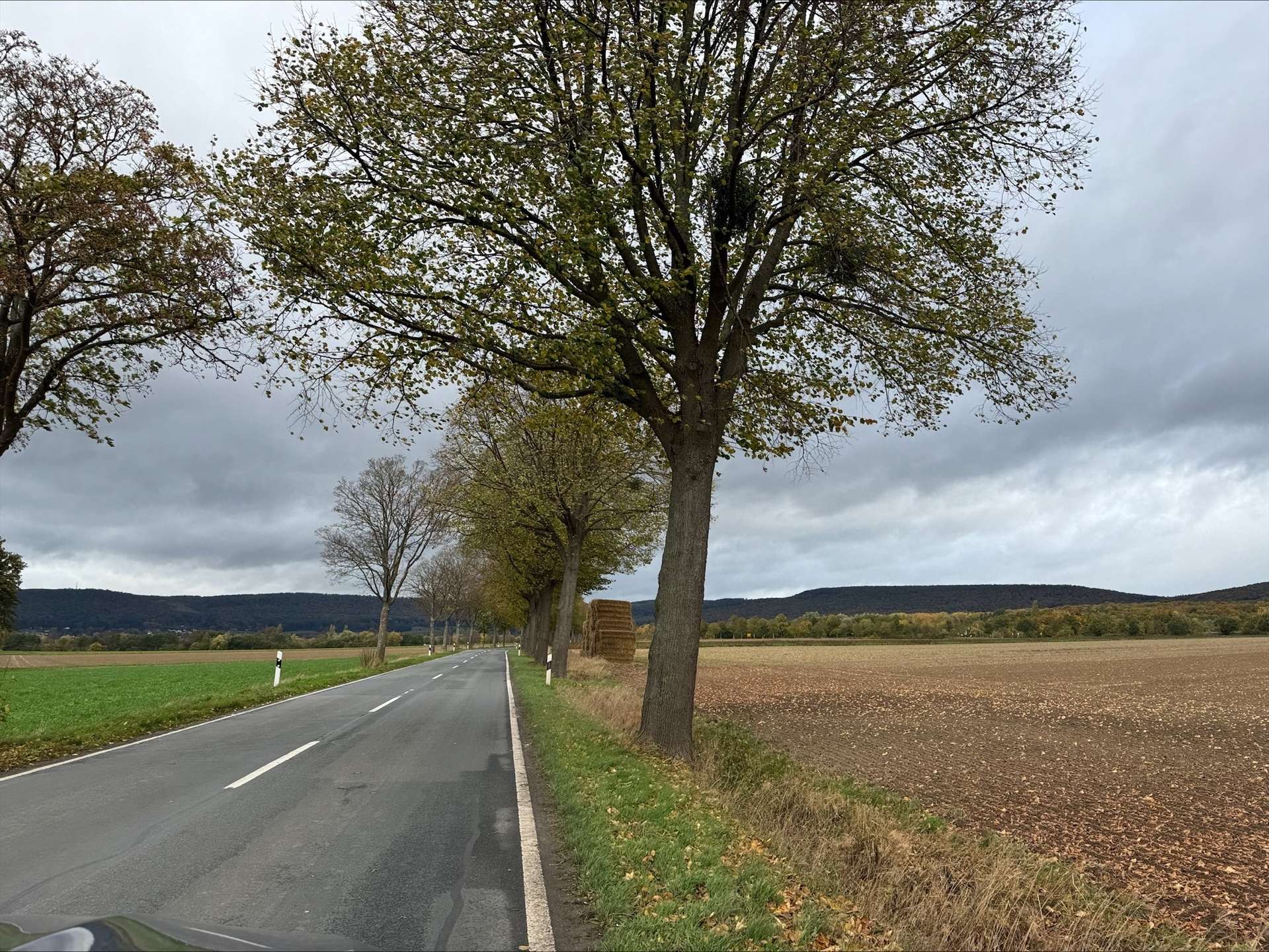 Zufahrt nach Alvesrode