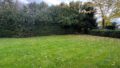 Garten (2)