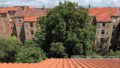 Dach hinten