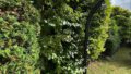 Dusche im Garten